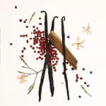 Vanilla and Cream Body Mist 2-in-1