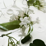 Vanilla and Cream Body Mist 2-in-1